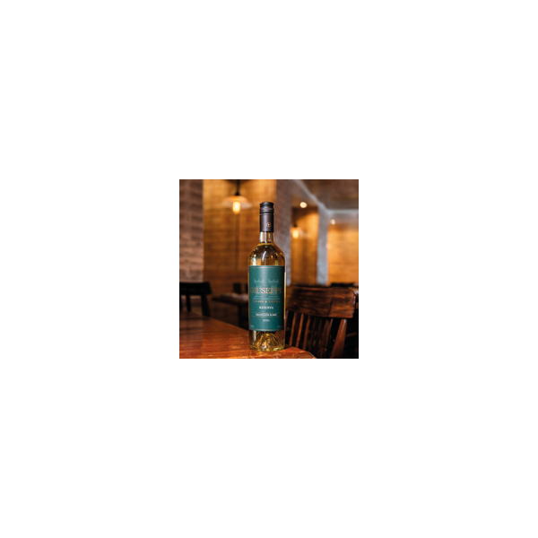 NR-VIN-001