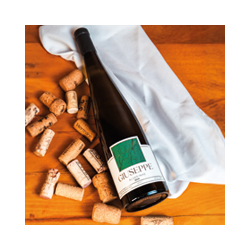 NR-VIN-003