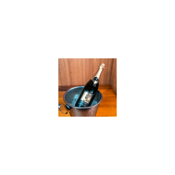 NR-VIN-004