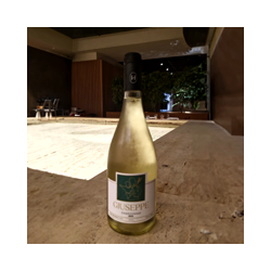 NR-VIN-006